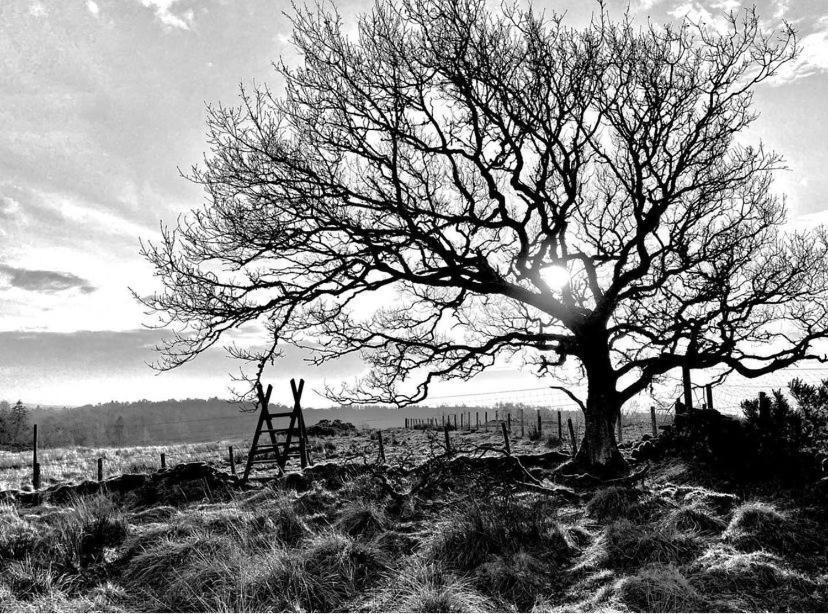The Lodge At Muir Estate Thornhill  Buitenkant foto
